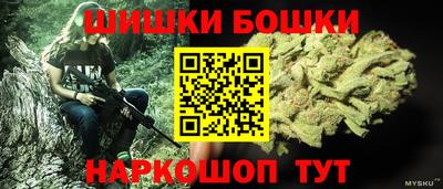 соль ск Сланцы