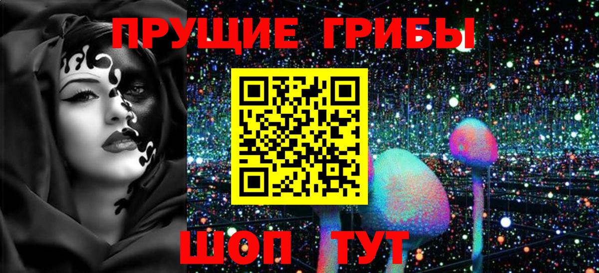 как найти закладки  Вход с VPN  Павлово  Псилоцибиновые грибы Cubensis 